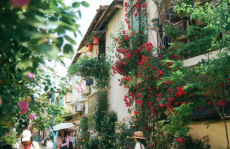 花街网红,绽放魅力，引领潮流的时尚风向标